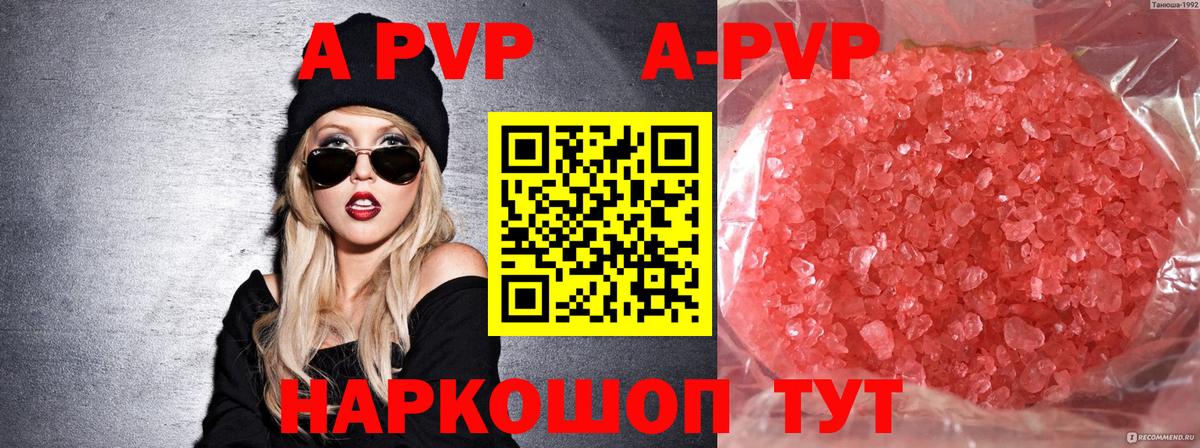 A PVP СК КРИС Шадринск