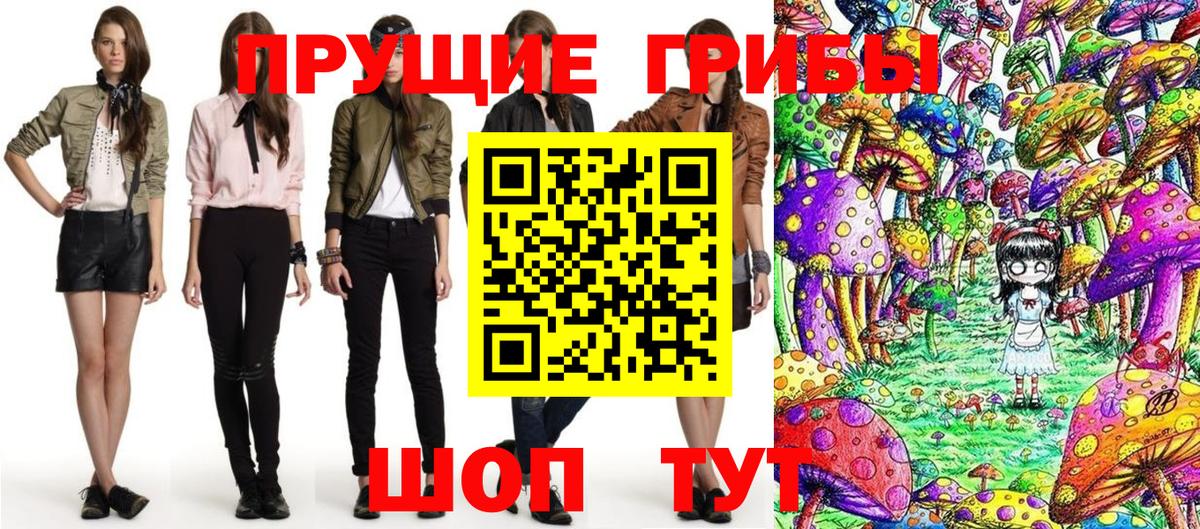 Псилоцибиновые грибы Psilocybe Шадринск