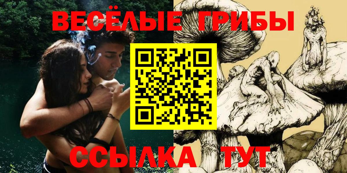 Шадринск  Псилоцибиновые грибы Cubensis  Псилоцибиновые грибы прущие грибы  Вход с VPN 